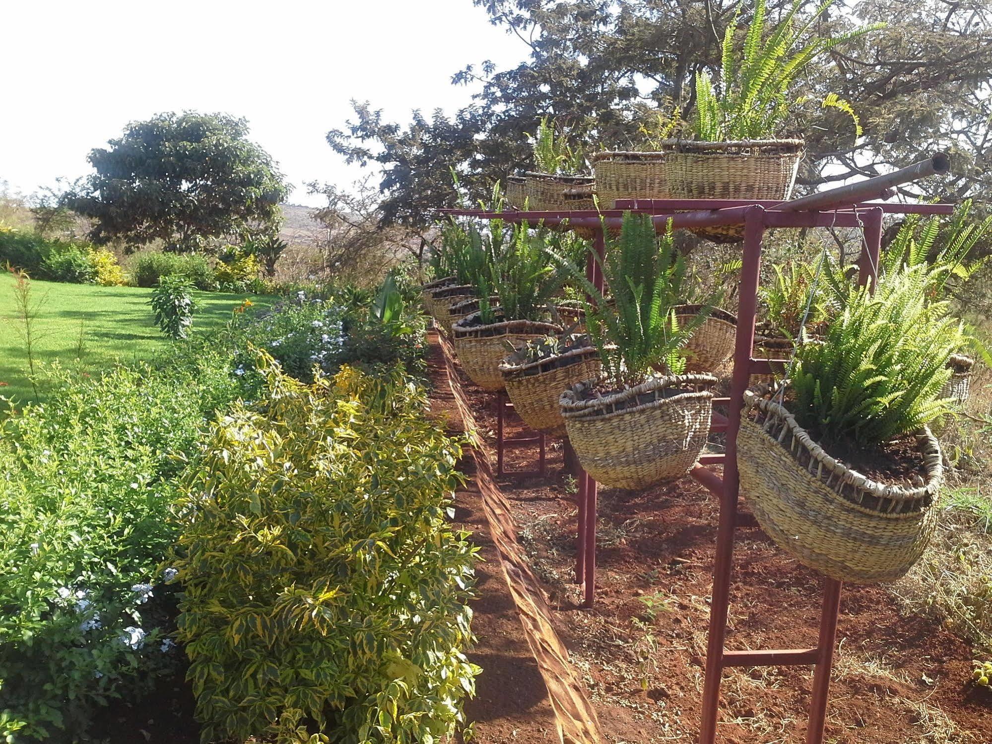Acacia Farm Lodge Ngorongoro Luaran gambar