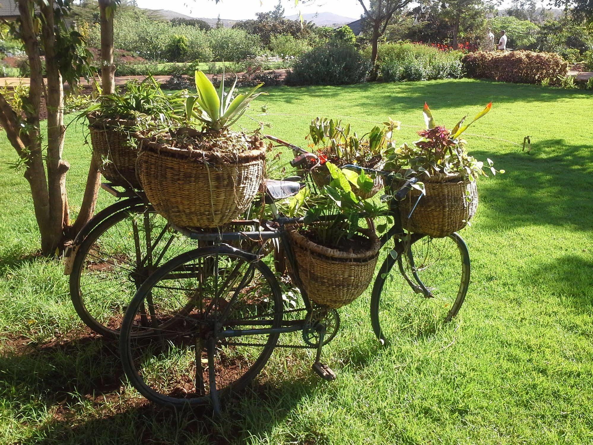 Acacia Farm Lodge Ngorongoro Luaran gambar
