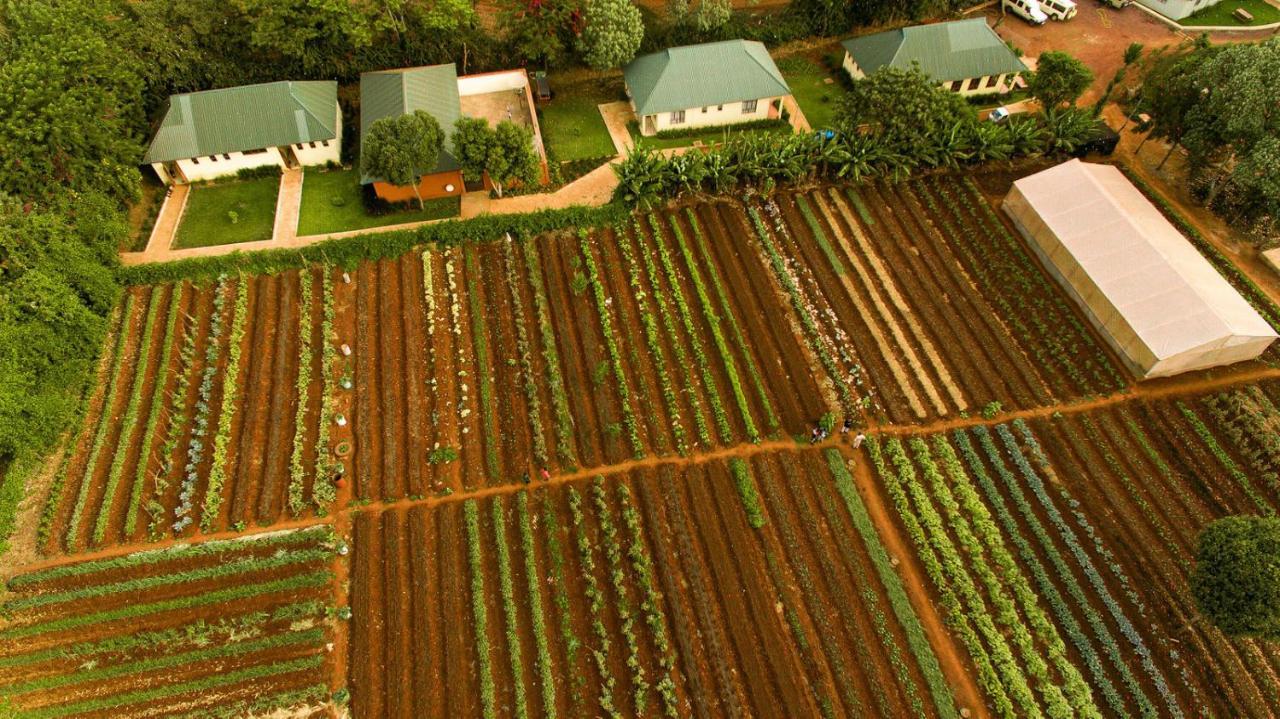 Acacia Farm Lodge Ngorongoro Luaran gambar